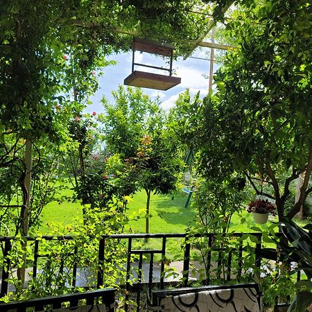 Room With Private Garden Shkoder Exterior photo