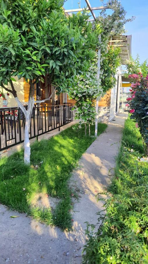 Room With Private Garden Shkoder Exterior photo
