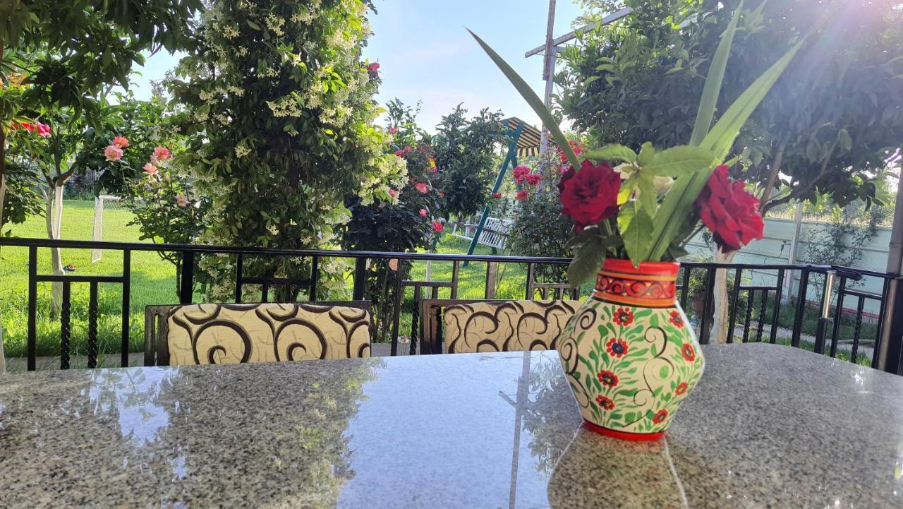 Room With Private Garden Shkoder Exterior photo